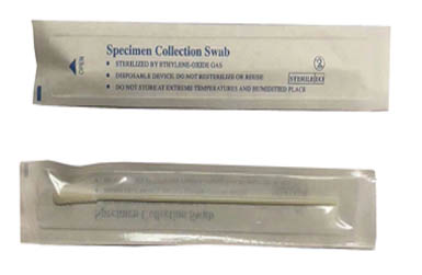 Specien collection swab