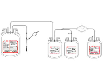 Quadruple Bag with RBC  filter