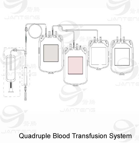 quadruple blood bag